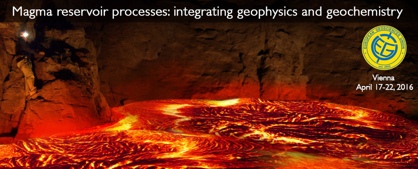 Petrology and Volcanology Research Group